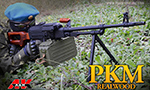 A&K 電動ガン PKM