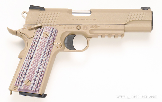 サイドビュー右 FDE