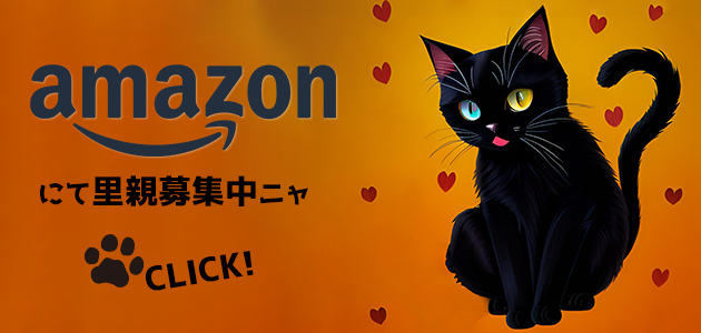 アマゾンにて販売中