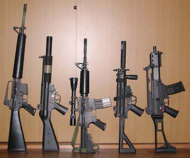 大きさを比べてみる