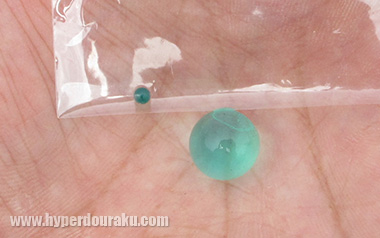 水を吸うことで、ここまで大きく