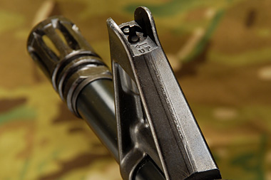 フロントサイト