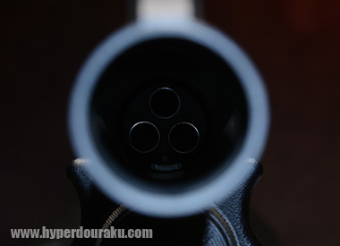 3本のインナーバレル