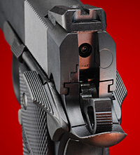 ビーバーテール