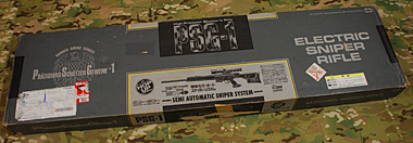 PSG-1 パッケージ外観