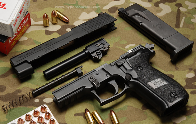 フィールドストリッピング