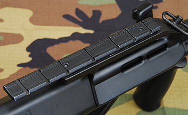 スペシャルレシーバータイプは20mmレール