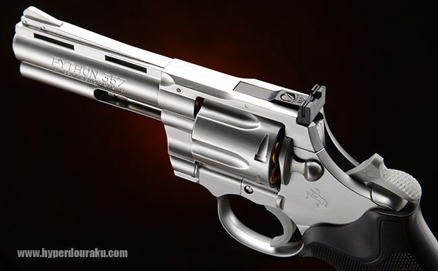 フロントサイト リアサイト