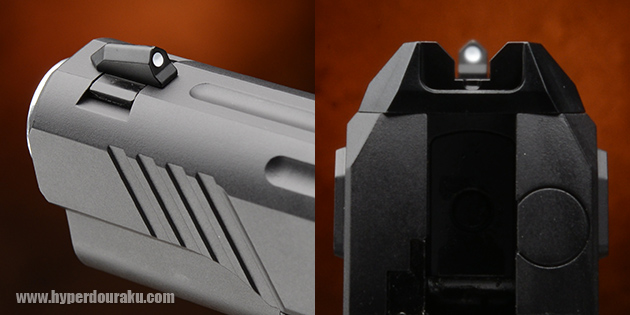 フロントサイト リアサイト