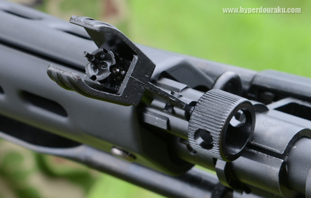 フロントサイト