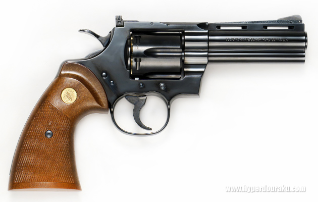 サイドビュー 右