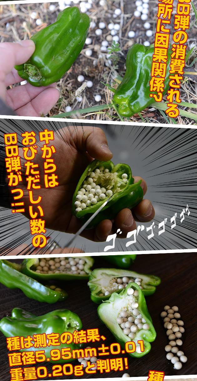 中からおびただしい数のBB弾がっ