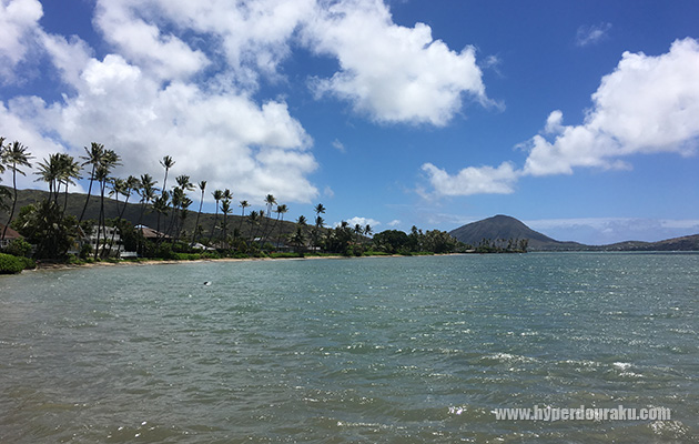 観光客に人気のライフル