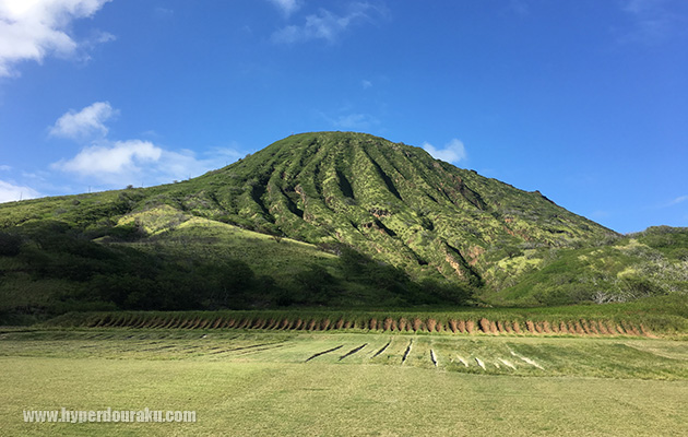 快適な屋外レンジ