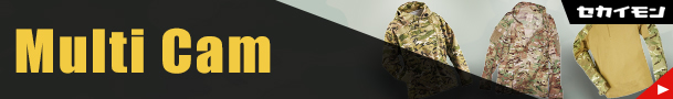 マルチカム