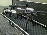 M14 EBR Silver