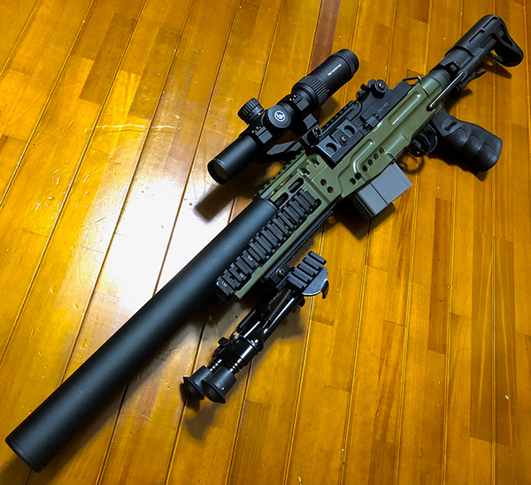 M14 SMR