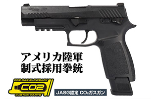SIG SAUER ProForce M17 CO2 GBB BLACK