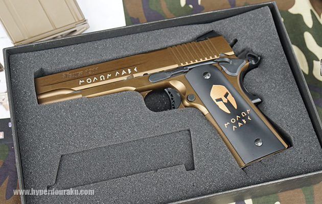 SIG SAUER 1911 SPARTAN