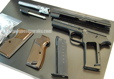SIG P210