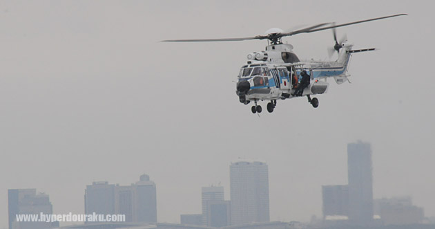 みみずくが近づく