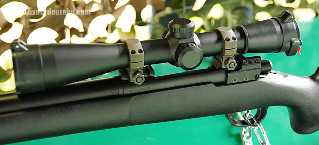 スコープは10倍固定