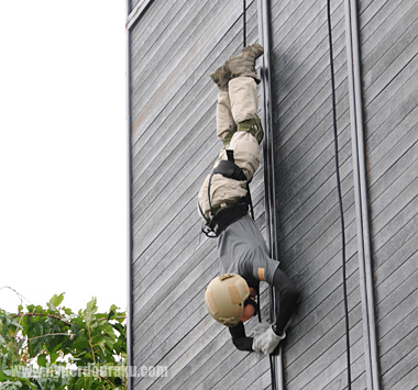 するすると降下するスパイダー