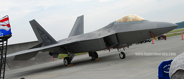 ノーズからキャノピー