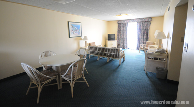 アメリカンな広さのリビングルーム