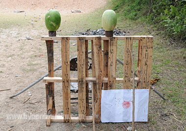 狙うのはこのスイカ