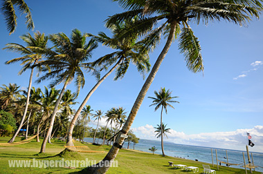 ガンマニアにとっての楽園
