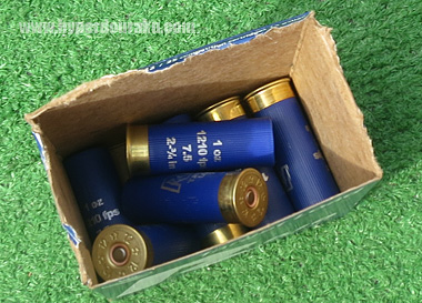 Rio Ammunitionのターゲットロード28