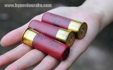 12番ゲージのバックショット