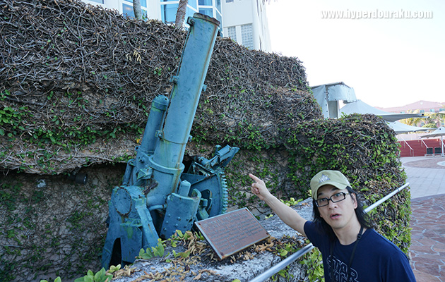 20cm Coastal Defense Guns