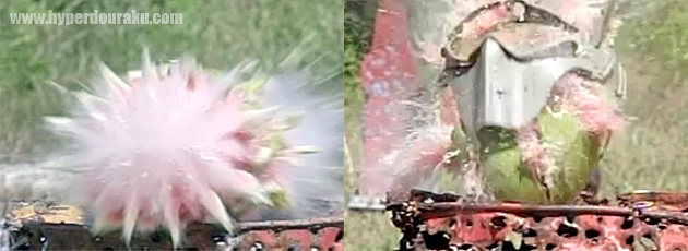 持ち込みターゲットがOK