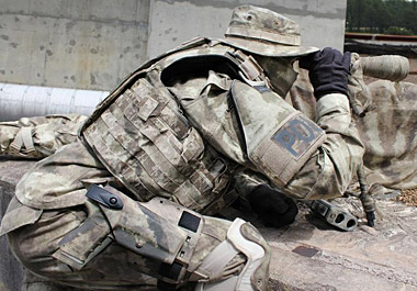 ホルスター、ガン