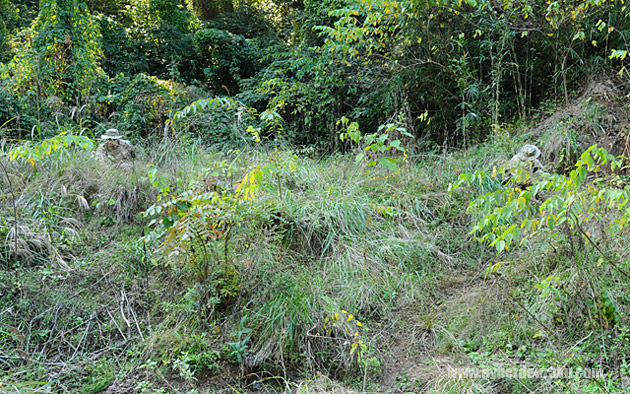 A-TACS、マルチカムの二人が隠れています