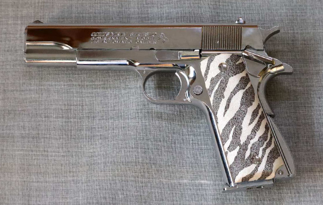 パールゼブラ(lsg-5)