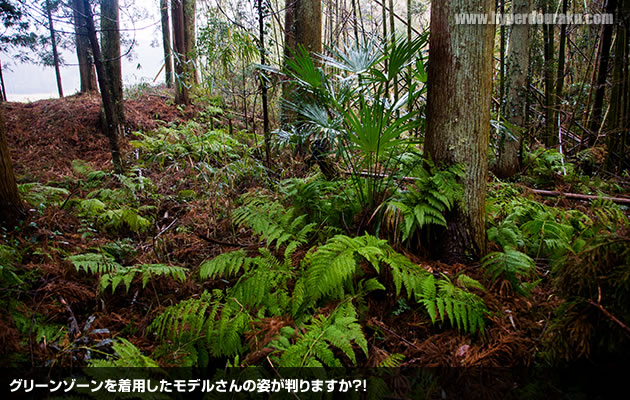 グリーンゾーンを着用したモデルさんの姿が判りますか?!