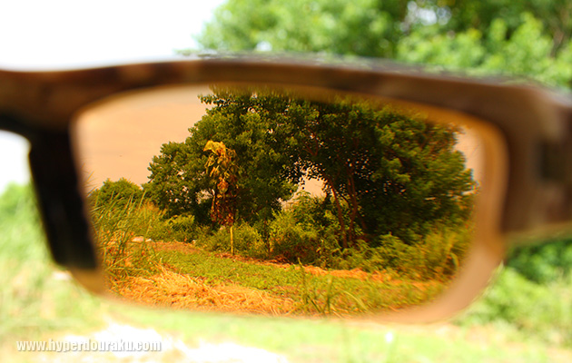 コントラスト効果