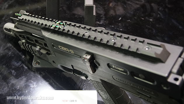 レシーバートップにはレールを装備