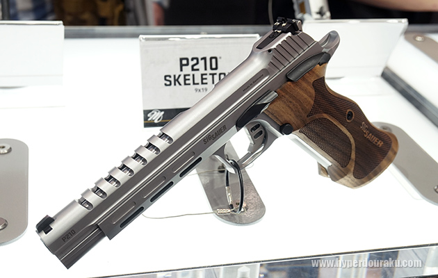 P210 SKELTON