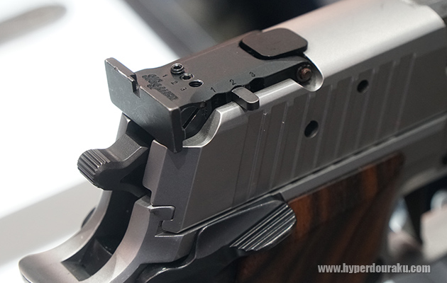 調整できるリアサイト