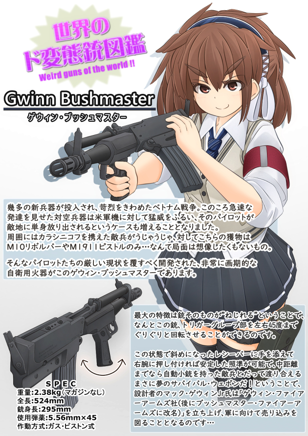 世界のド変態銃図鑑 Vol.36 ゲウィン・ブッシュマスター 1