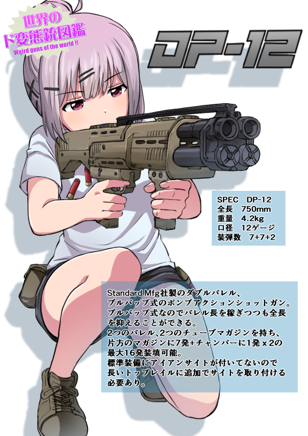 世界のド変態銃図鑑 Vol.50　DP-12 1