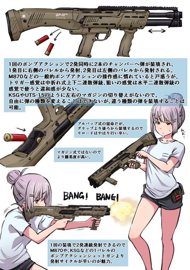 世界のド変態銃図鑑 Vol.50　DP-12　2
