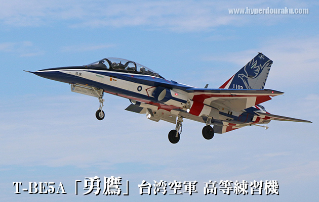 台湾陸軍 特5營戰術任務訓練
Taiwan Army Special 5 Battalion Tactical Mission Training