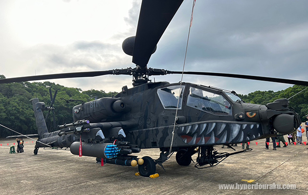 特別塗装されたAH-64E