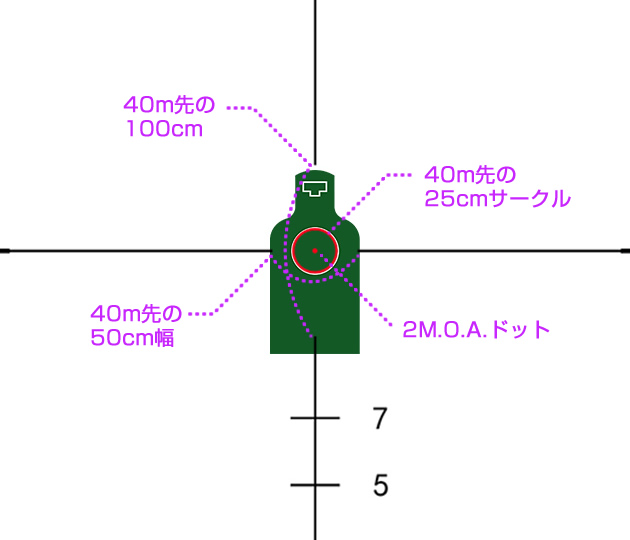 中央のサークル