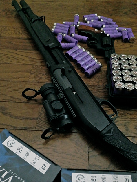 ホームディフェンス